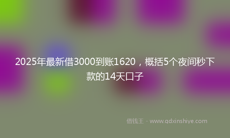 2025年最新借3000到账1620，概括5个夜间秒下款的14天口子