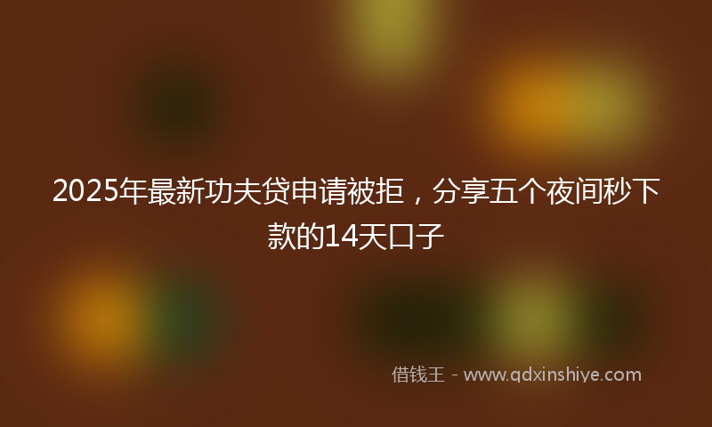 2025年最新功夫贷申请被拒，分享五个夜间秒下款的14天口子