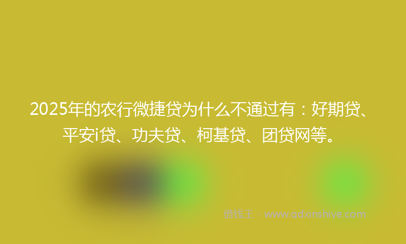 2025年的农行微捷贷为什么不通过有：好期贷、平安i贷、功夫贷、柯基贷、团贷网等。