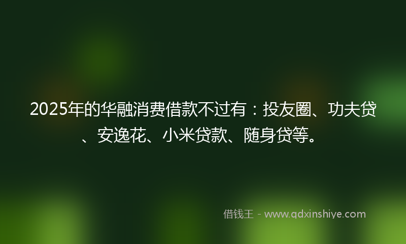 2025年的华融消费借款不过有：投友圈、功夫贷、安逸花、小米贷款、随身贷等。