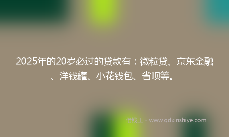 2025年的20岁必过的贷款有：微粒贷、京东金融、洋钱罐、小花钱包、省呗等。