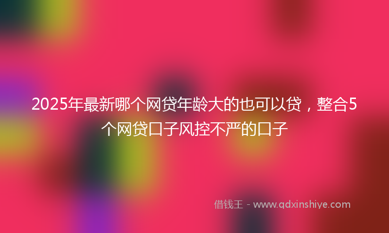 2025年最新哪个网贷年龄大的也可以贷，整合5个网贷口子风控不严的口子