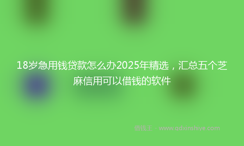 18岁急用钱贷款怎么办2025年精选，汇总五个芝麻信用可以借钱的软件
