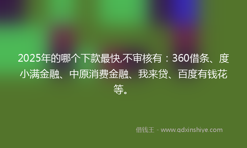 2025年的哪个下款最快,不审核有：360借条、度小满金融、中原消费金融、我来贷、百度有钱花等。