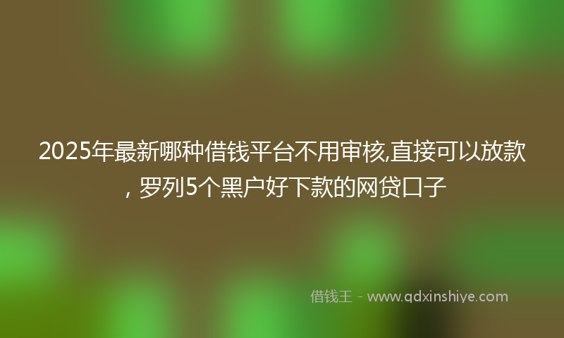 2025年最新哪种借钱平台不用审核,直接可以放款，罗列5个黑户好下款的网贷口子