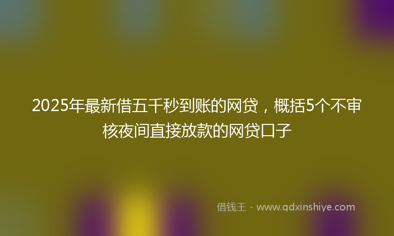 2025年最新借五千秒到账的网贷，概括5个不审核夜间直接放款的网贷口子