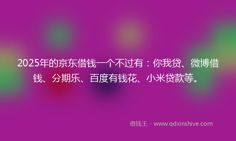 2025年的京东借钱一个不过有：你我贷、微博借钱、分期乐、百度有钱花、小米贷款等。