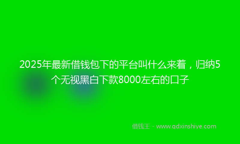 2025年最新借钱包下的平台叫什么来着，归纳5个无视黑白下款8000左右的口子
