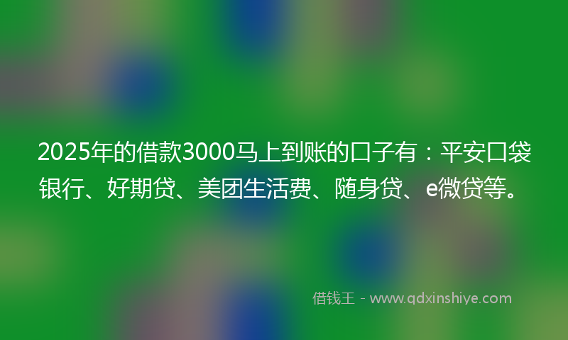 2025年的借款3000马上到账的口子有：平安口袋银行、好期贷、美团生活费、随身贷、e微贷等。
