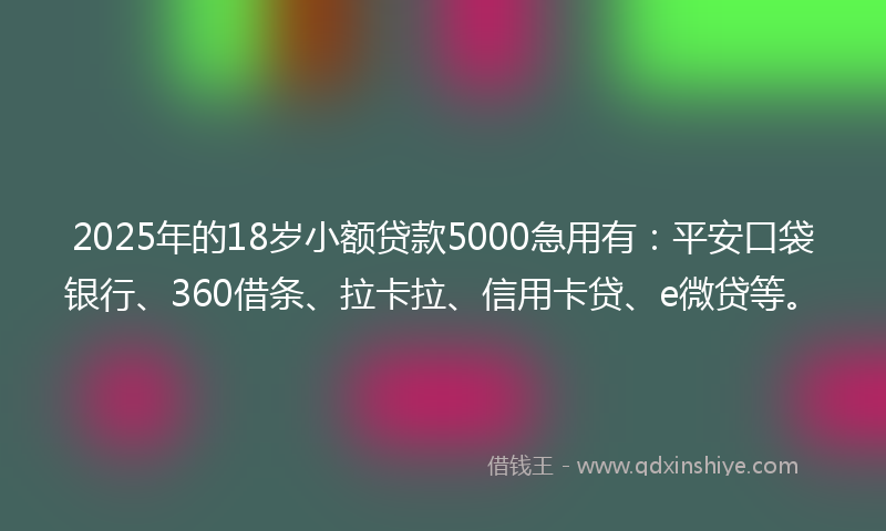 2025年的18岁小额贷款5000急用有：平安口袋银行、360借条、拉卡拉、信用卡贷、e微贷等。