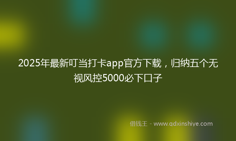 2025年最新叮当打卡app官方下载，归纳五个无视风控5000必下口子