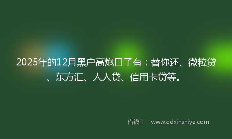 2025年的12月黑户高炮口子有：替你还、微粒贷、东方汇、人人贷、信用卡贷等。