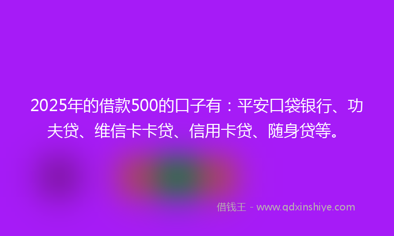 2025年的借款500的口子有：平安口袋银行、功夫贷、维信卡卡贷、信用卡贷、随身贷等。