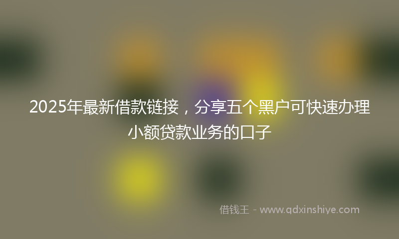 2025年最新借款链接，分享五个黑户可快速办理小额贷款业务的口子
