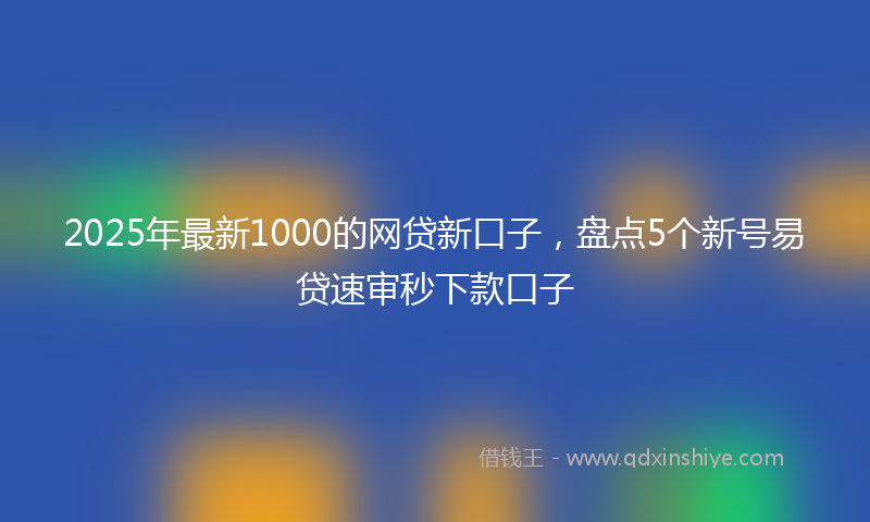 2025年最新1000的网贷新口子，盘点5个新号易贷速审秒下款口子