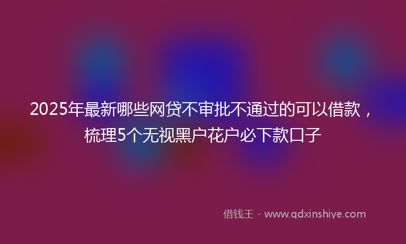 2025年最新哪些网贷不审批不通过的可以借款，梳理5个无视黑户花户必下款口子