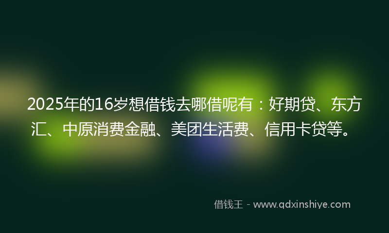 2025年的16岁想借钱去哪借呢有：好期贷、东方汇、中原消费金融、美团生活费、信用卡贷等。