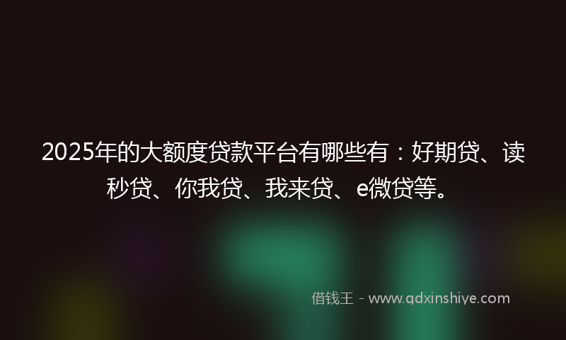 2025年的大额度贷款平台有哪些有：好期贷、读秒贷、你我贷、我来贷、e微贷等。