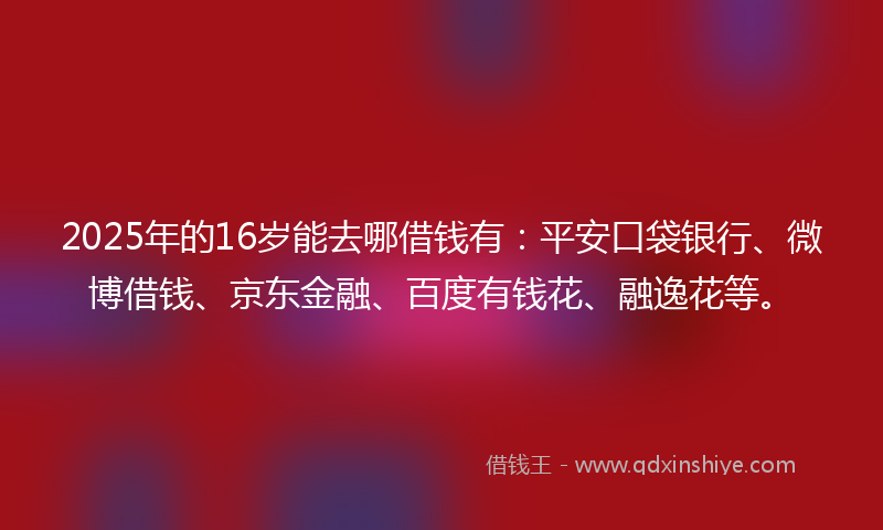 2025年的16岁能去哪借钱有：平安口袋银行、微博借钱、京东金融、百度有钱花、融逸花等。