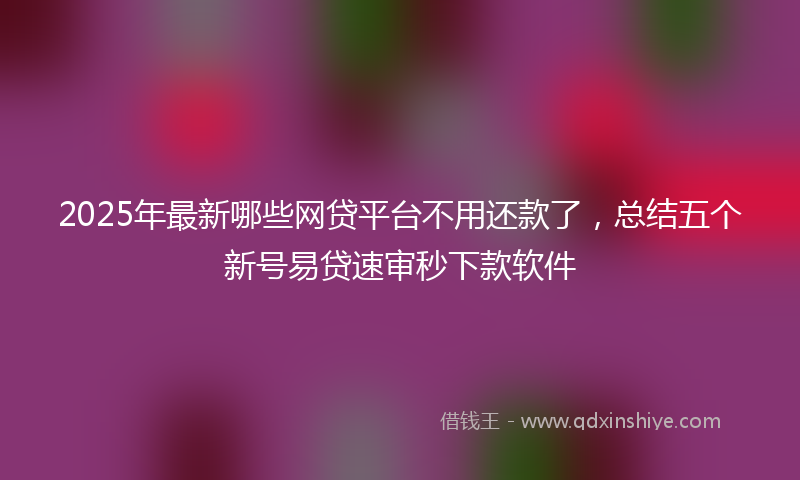 2025年最新哪些网贷平台不用还款了，总结五个新号易贷速审秒下款软件