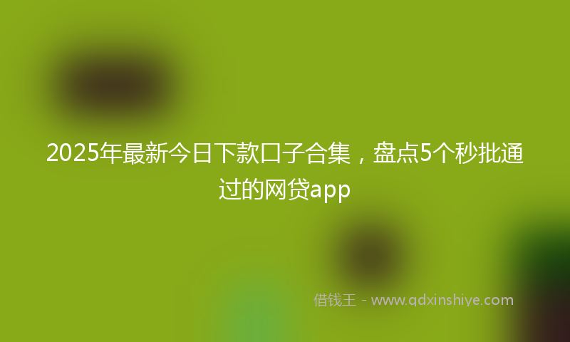 2025年最新今日下款口子合集，盘点5个秒批通过的网贷app