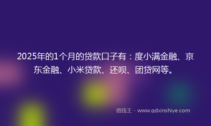 2025年的1个月的贷款口子有：度小满金融、京东金融、小米贷款、还呗、团贷网等。