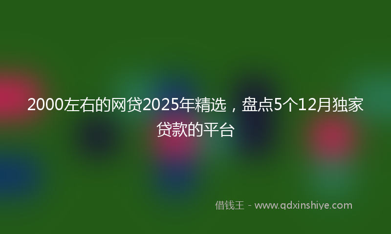 2000左右的网贷2025年精选，盘点5个12月独家贷款的平台