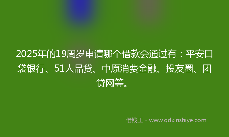 2025年的19周岁申请哪个借款会通过有：平安口袋银行、51人品贷、中原消费金融、投友圈、团贷网等。