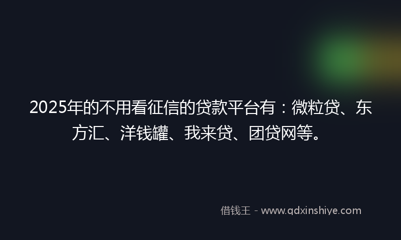 2025年的不用看征信的贷款平台有：微粒贷、东方汇、洋钱罐、我来贷、团贷网等。