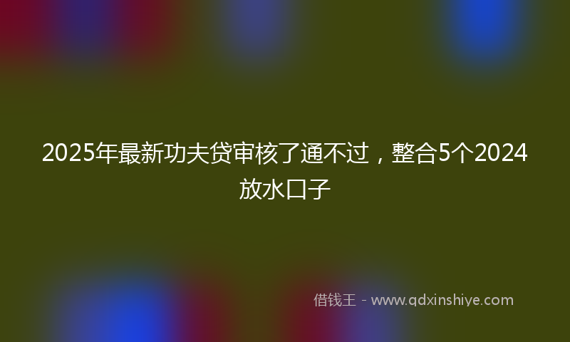 2025年最新功夫贷审核了通不过，整合5个2024放水口子