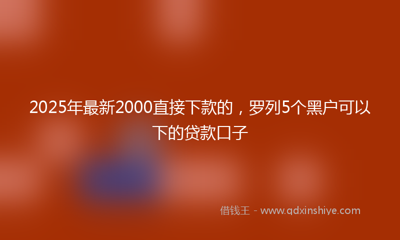 2025年最新2000直接下款的，罗列5个黑户可以下的贷款口子