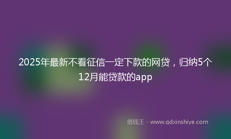 2025年最新不看征信一定下款的网贷，归纳5个12月能贷款的app