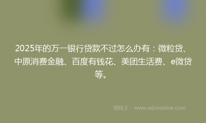 2025年的万一银行贷款不过怎么办有：微粒贷、中原消费金融、百度有钱花、美团生活费、e微贷等。