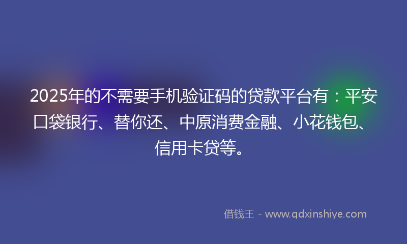 2025年的不需要手机验证码的贷款平台有：平安口袋银行、替你还、中原消费金融、小花钱包、信用卡贷等。