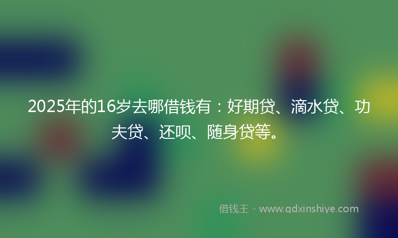 2025年的16岁去哪借钱有：好期贷、滴水贷、功夫贷、还呗、随身贷等。