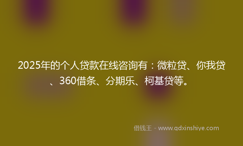 2025年的个人贷款在线咨询有：微粒贷、你我贷、360借条、分期乐、柯基贷等。