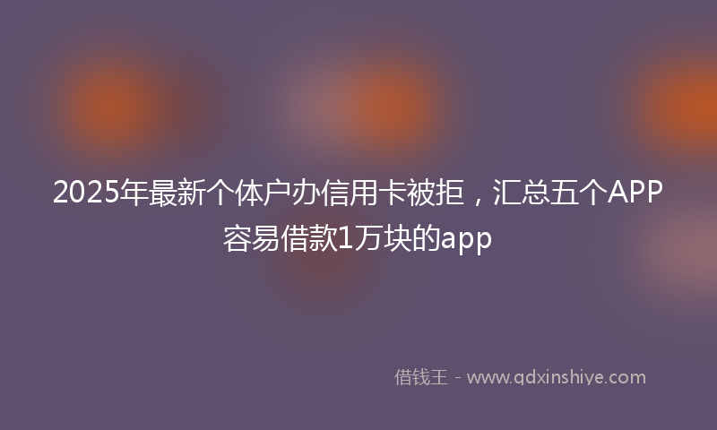 2025年最新个体户办信用卡被拒，汇总五个APP容易借款1万块的app