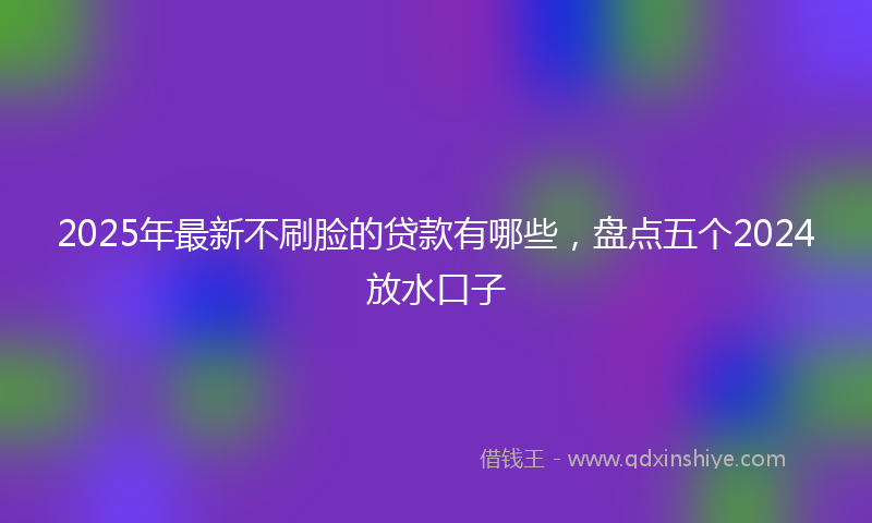 2025年最新不刷脸的贷款有哪些，盘点五个2024放水口子