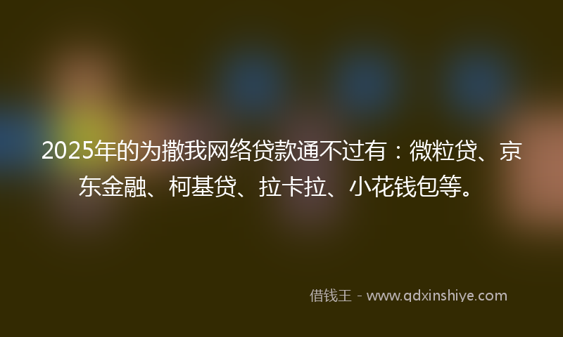 2025年的为撒我网络贷款通不过有：微粒贷、京东金融、柯基贷、拉卡拉、小花钱包等。