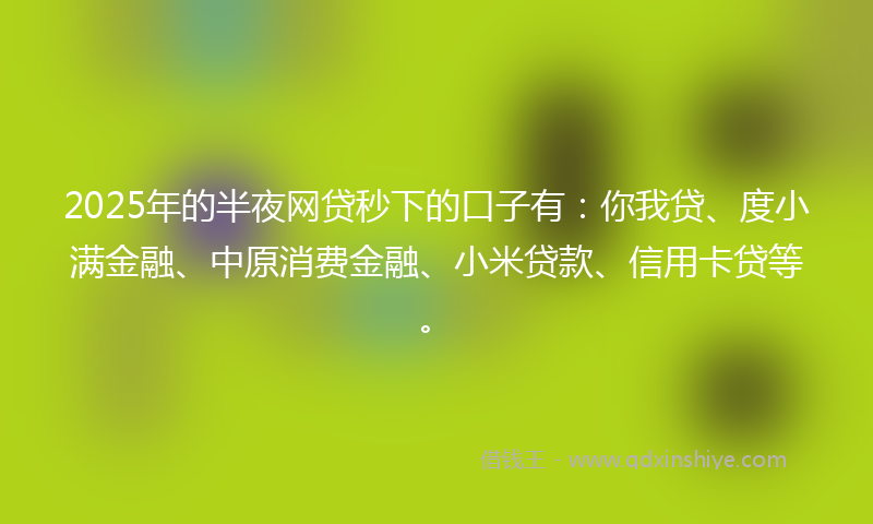 2025年的半夜网贷秒下的口子有：你我贷、度小满金融、中原消费金融、小米贷款、信用卡贷等。