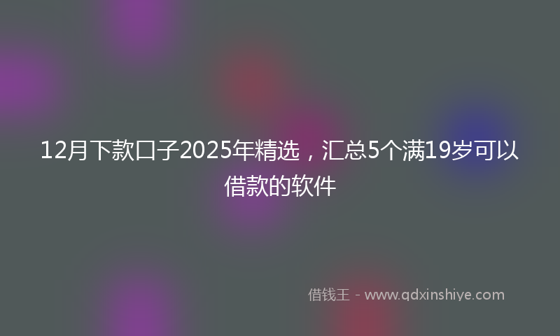 12月下款口子2025年精选，汇总5个满19岁可以借款的软件