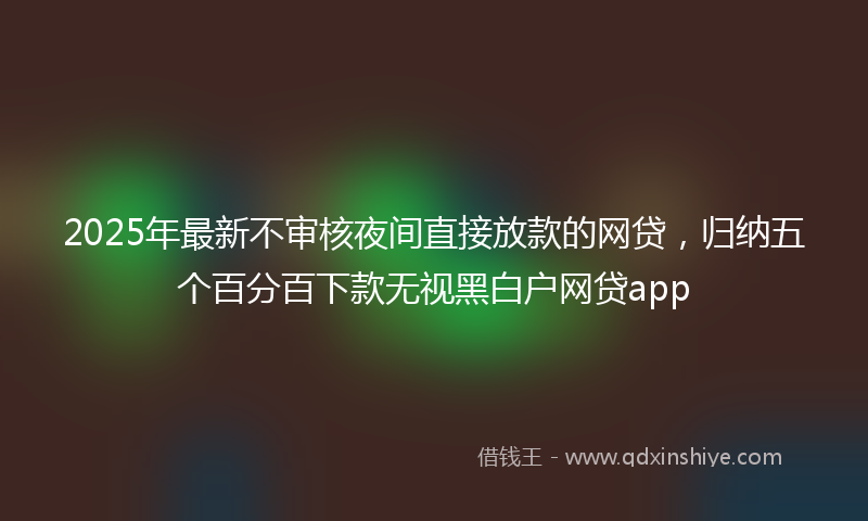 2025年最新不审核夜间直接放款的网贷，归纳五个百分百下款无视黑白户网贷app