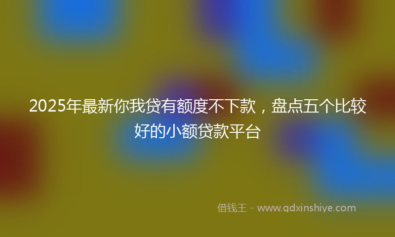 2025年最新你我贷有额度不下款，盘点五个比较好的小额贷款平台