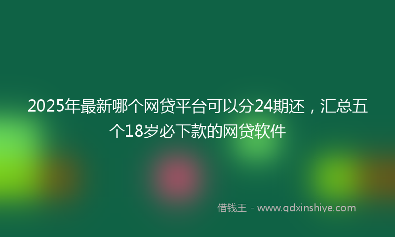 2025年最新哪个网贷平台可以分24期还，汇总五个18岁必下款的网贷软件