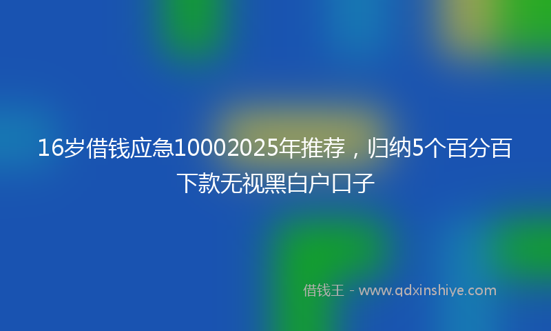16岁借钱应急10002025年推荐，归纳5个百分百下款无视黑白户口子
