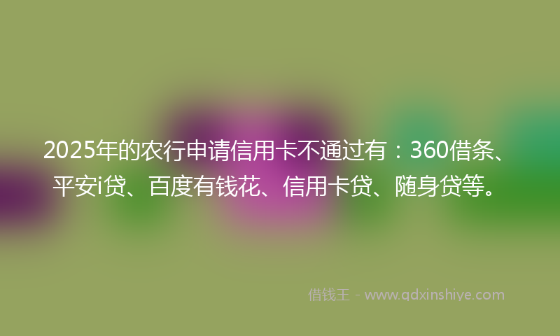 2025年的农行申请信用卡不通过有：360借条、平安i贷、百度有钱花、信用卡贷、随身贷等。