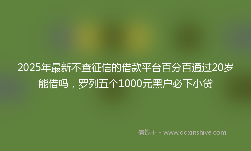 2025年最新不查征信的借款平台百分百通过20岁能借吗，罗列五个1000元黑户必下小贷