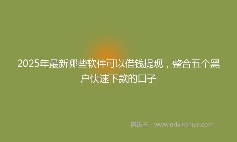 2025年最新哪些软件可以借钱提现，整合五个黑户快速下款的口子
