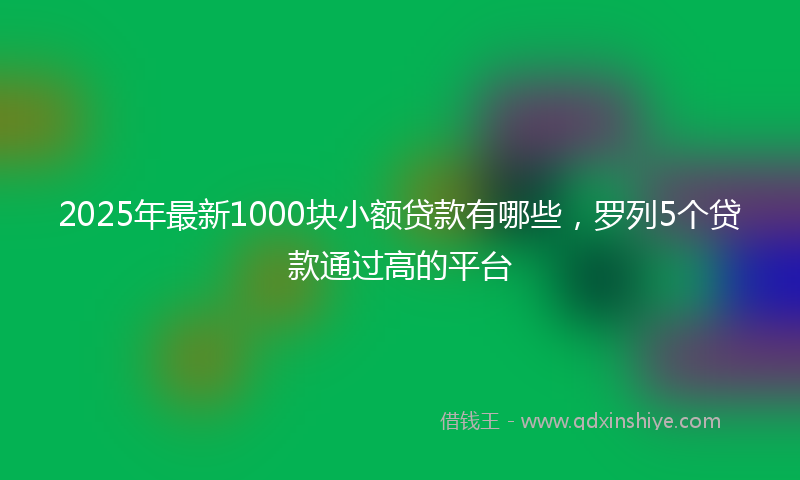 2025年最新1000块小额贷款有哪些，罗列5个贷款通过高的平台