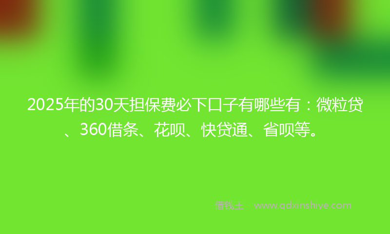 2025年的30天担保费必下口子有哪些有：微粒贷、360借条、花呗、快贷通、省呗等。